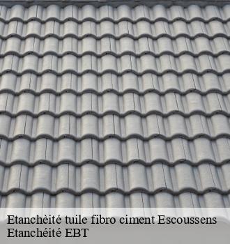 Etanchèité tuile fibro ciment  escoussens-81290 Etanchéité EBT