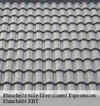 Etanchèité tuile fibro ciment  esperausses-81260 Etanchéité EBT