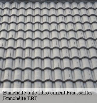 Etanchèité tuile fibro ciment  frausseilles-81170 Etanchéité EBT