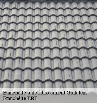 Etanchèité tuile fibro ciment  guitalens-81220 Etanchéité EBT