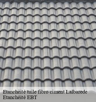 Etanchèité tuile fibro ciment  lalbarede-81220 Etanchéité EBT