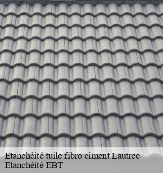 Etanchèité tuile fibro ciment  lautrec-81440 Etanchéité EBT