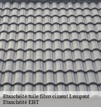 Etanchèité tuile fibro ciment  lempaut-81700 Etanchéité EBT