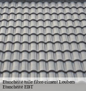 Etanchèité tuile fibro ciment  loubers-81170 Etanchéité EBT