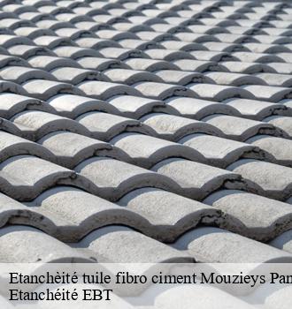 Etanchèité tuile fibro ciment  mouzieys-panens-81170 Etanchéité EBT