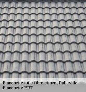 Etanchèité tuile fibro ciment  palleville-81700 Etanchéité EBT