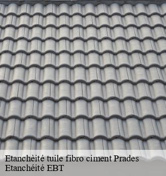 Etanchèité tuile fibro ciment  prades-81220 Etanchéité EBT