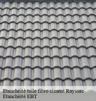 Etanchèité tuile fibro ciment  rayssac-81330 Etanchéité EBT