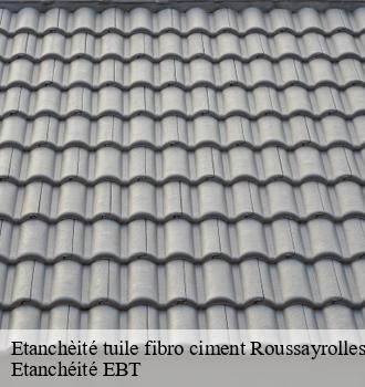 Etanchèité tuile fibro ciment  roussayrolles-81140 Etanchéité EBT