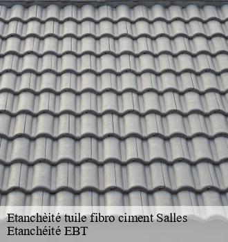 Etanchèité tuile fibro ciment  salles-81640 Etanchéité EBT