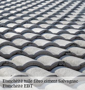 Etanchèité tuile fibro ciment  salvagnac-81630 Etanchéité EBT