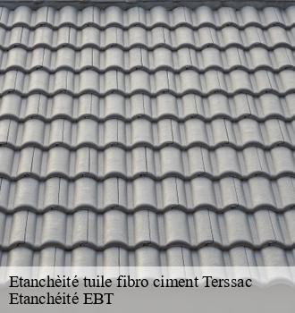 Etanchèité tuile fibro ciment  terssac-81150 Etanchéité EBT