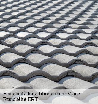 Etanchèité tuile fibro ciment  viane-81530 Etanchéité EBT