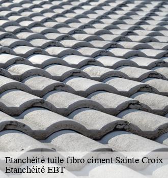 Etanchèité tuile fibro ciment  sainte-croix-81150 Etanchéité EBT