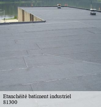 Etanchéité batiment industriel  graulhet-81300 Etanchéité EBT