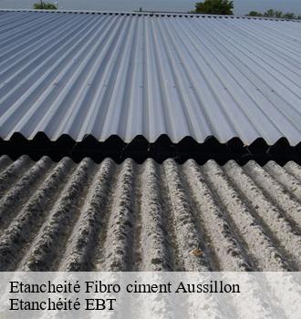 Etancheité Fibro ciment  aussillon-81200 Etanchéité EBT