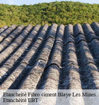 Etancheité Fibro ciment  blaye-les-mines-81400 Etanchéité EBT