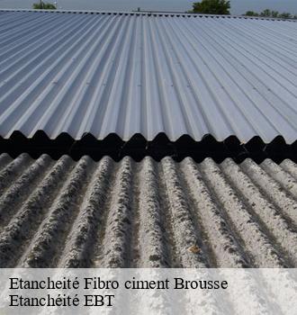 Etancheité Fibro ciment  brousse-81440 Etanchéité EBT