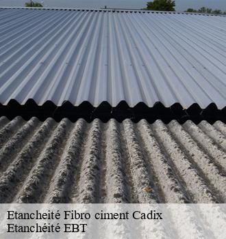 Etancheité Fibro ciment  cadix-81340 Etanchéité EBT