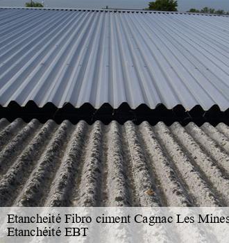 Etancheité Fibro ciment  cagnac-les-mines-81130 Etanchéité EBT