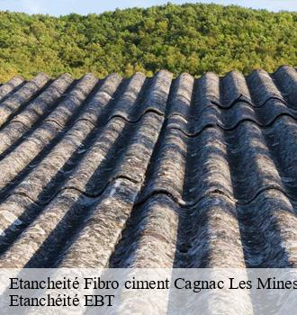 Etancheité Fibro ciment  cagnac-les-mines-81130 Etanchéité EBT