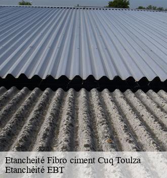 Etancheité Fibro ciment  cuq-toulza-81470 Etanchéité EBT