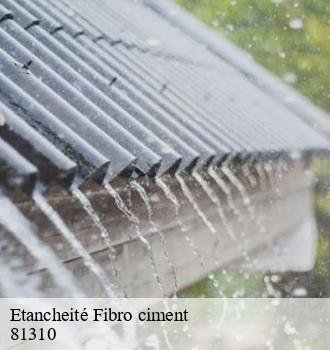 Etancheité Fibro ciment  parisot-81310 Etanchéité EBT